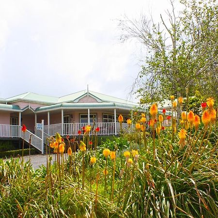 Matakohe House B&B 외부 사진